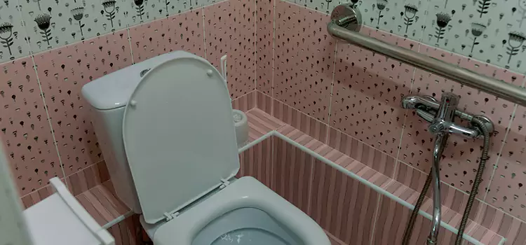 Meeting Diverse Needs With Accessible Restroom Solutions in East St. Louis, IL