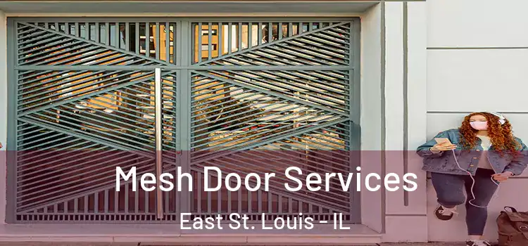 Mesh Door Services East St. Louis - IL